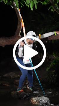 BIB:  <button type="button" onclick="openModal(27824882)" class="btn btn-primary btn-sm float-right" data-toggle="modal" data-target=".modal-high-quality">
                <i class="fa fa-download"></i> Download
                </button>